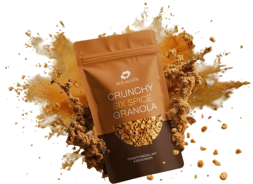 CRUNCHY SIX SPICE GRANOLA